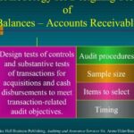 Accounts Payable Duplicate Payment Audits