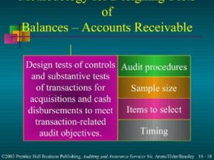 Accounts Payable Duplicate Payment Audits