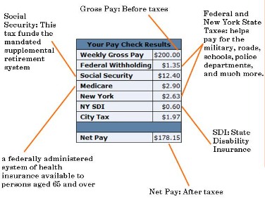 Social Security Benefits Eligible For The Federal Payment Levy Program