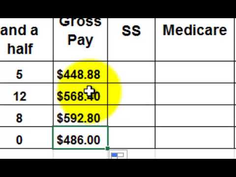 pay stub meaning